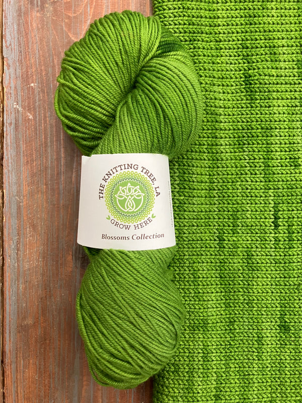 Blossoms Collection Daylily DK