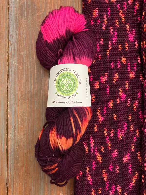 Blossoms Collection Daylily DK