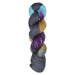 Araucania Yarns Huasco Sock Prism Paints