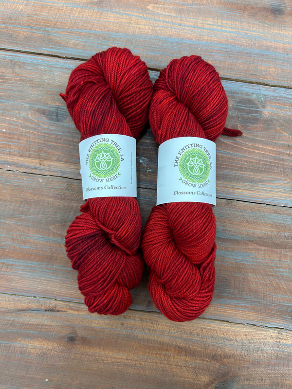 Blossoms Collection Daylily DK