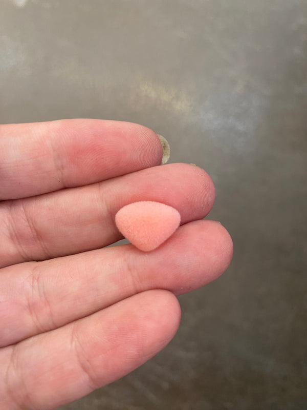 Pink Flock Nose