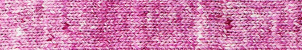 Noro Akari/Noro Akari Solo