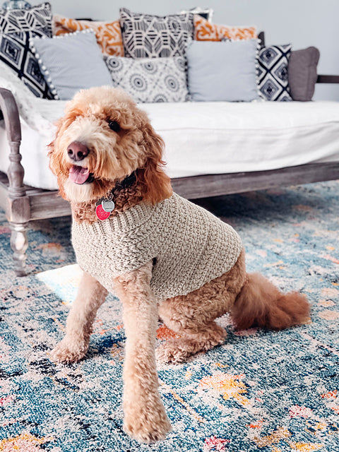 Wheat Stitch Dog Sweater Crochet Workshop