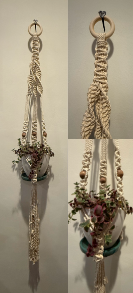 Macrame Plant Hanging Workshop