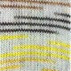 OnLine Supersocke Silk Color 4-Ply